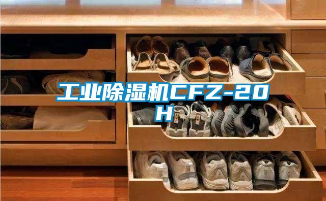 工業除濕機CFZ-20H