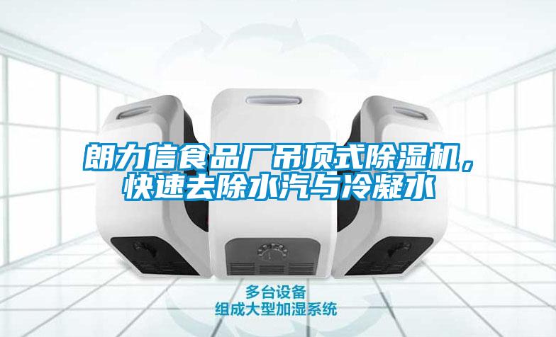 朗力信食品廠吊頂式除濕機，快速去除水汽與冷凝水