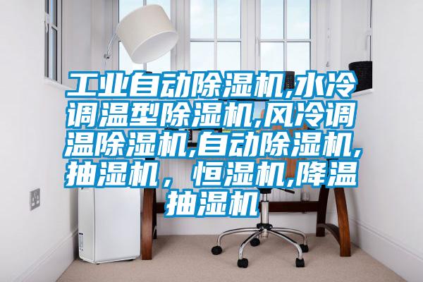 工業自動除濕機,水冷調溫型除濕機,風冷調溫除濕機,自動除濕機,抽濕機，恒濕機,降溫抽濕機