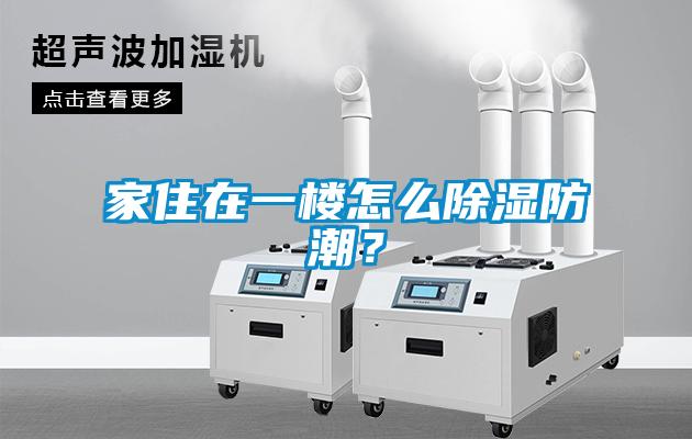 家住在一樓怎么除濕防潮？