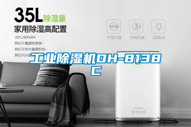 工業除濕機DH-8138C