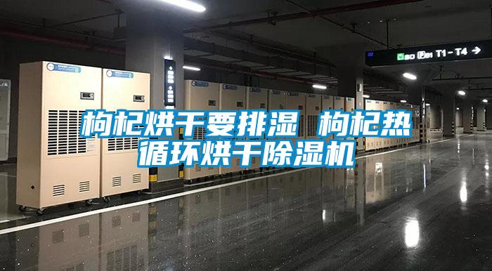 枸杞烘干要排濕 枸杞熱循環烘干除濕機