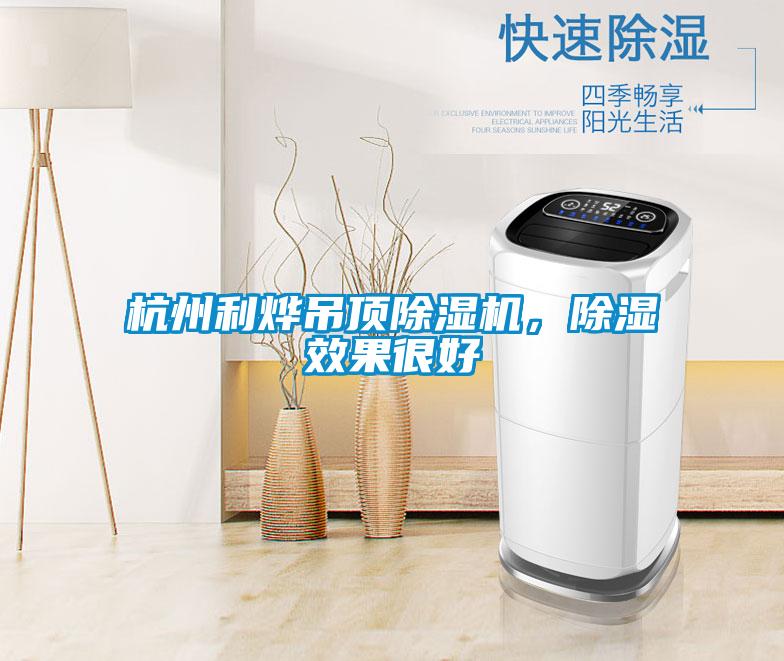 杭州利燁吊頂除濕機，除濕效果很好