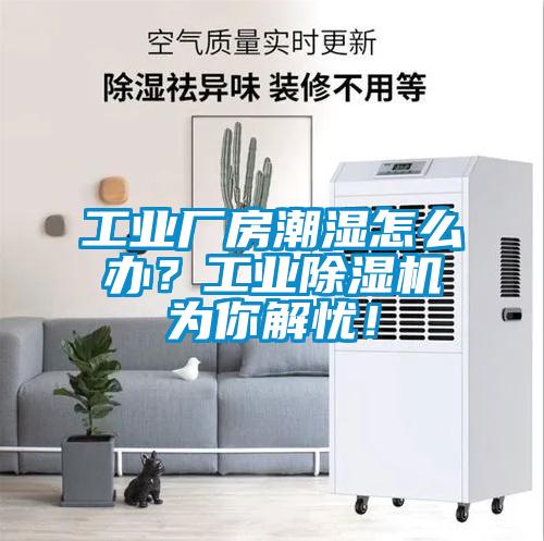 工業廠房潮濕怎么辦？工業除濕機為你解憂！