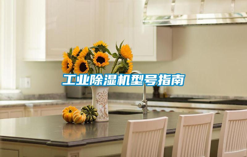 工業除濕機型號指南