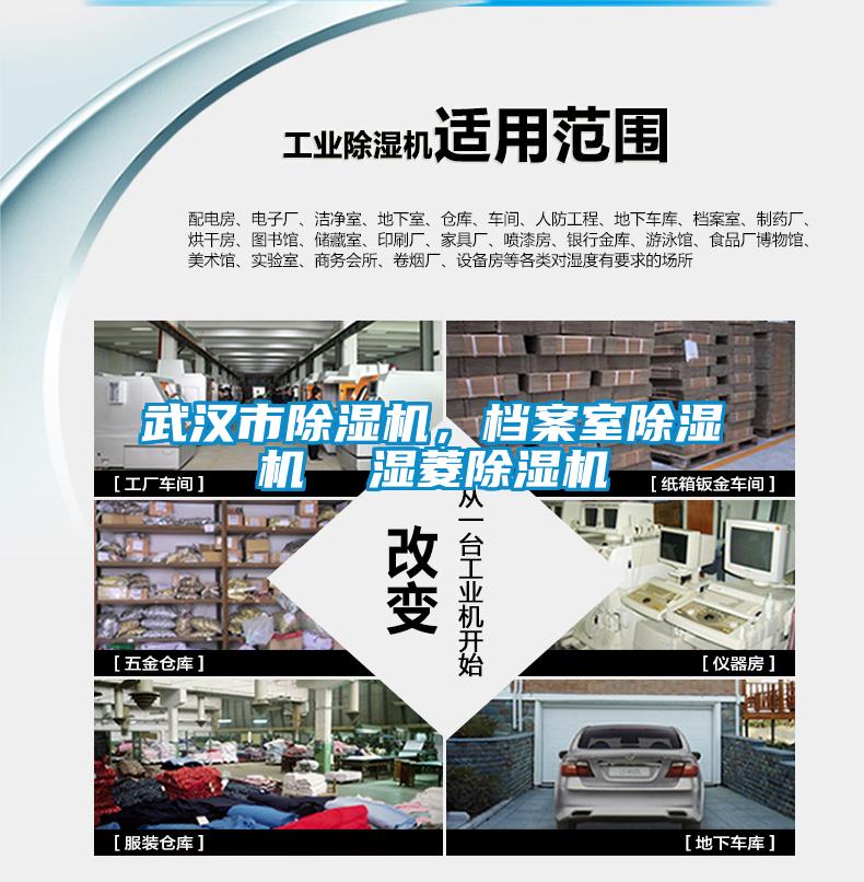 武漢市除濕機，檔案室除濕機  濕菱除濕機