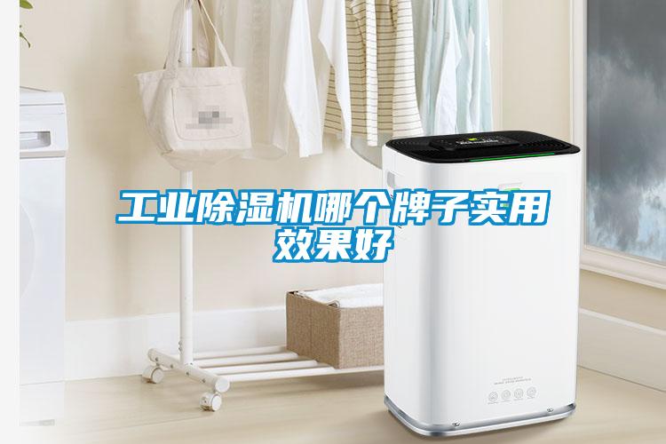 工業除濕機哪個牌子實用效果好