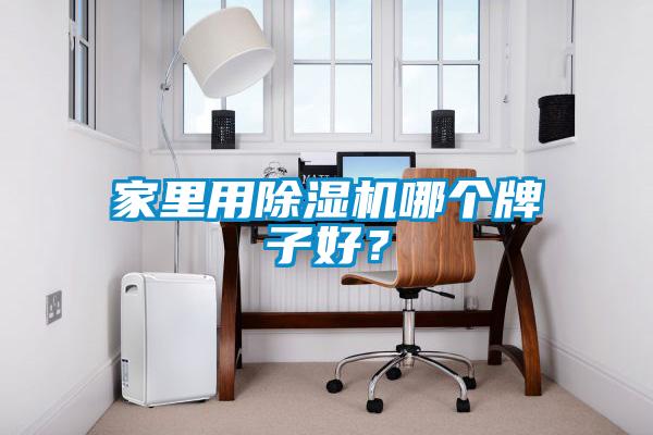 家里用除濕機哪個牌子好？