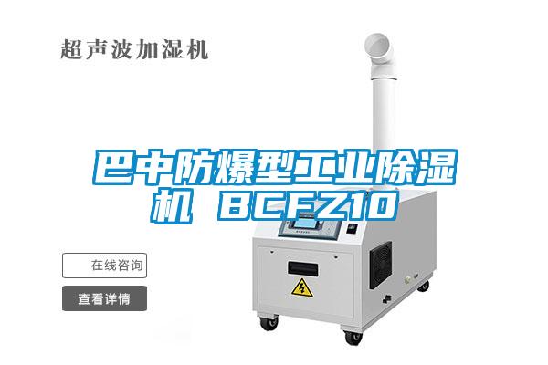 巴中防爆型工業除濕機 BCFZ10