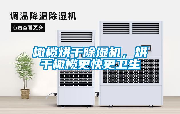 橄欖烘干除濕機，烘干橄欖更快更衛生