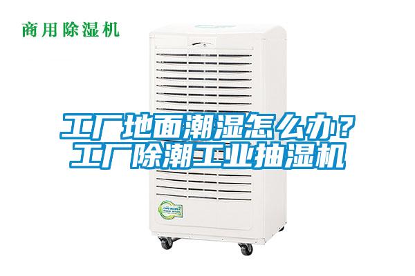 工廠地面潮濕怎么辦？工廠除潮工業抽濕機