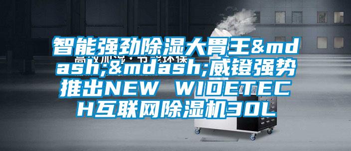 智能強勁除濕大胃王——威鐙強勢推出NEW WIDETECH互聯網除濕機30L