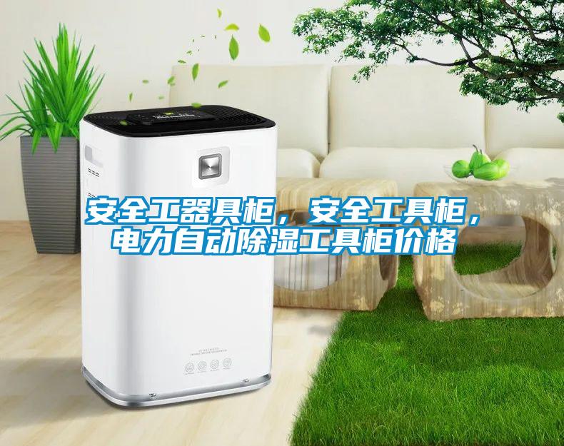 安全工器具柜，安全工具柜，電力自動除濕工具柜價格