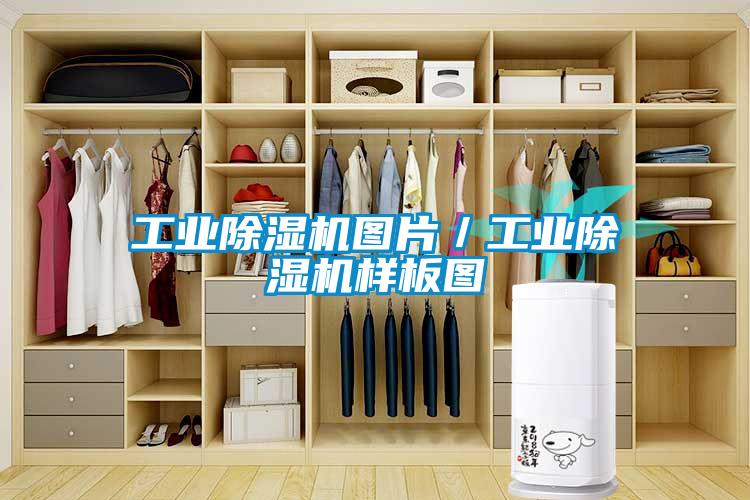 工業除濕機圖片／工業除濕機樣板圖