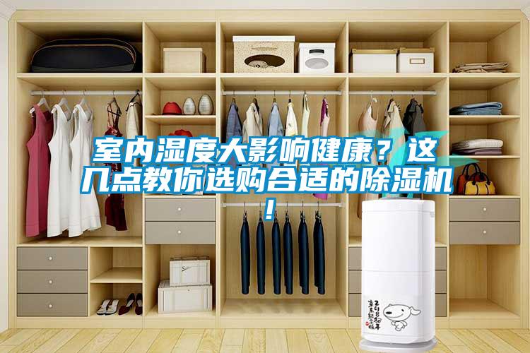 室內濕度大影響健康？這幾點教你選購合適的除濕機！