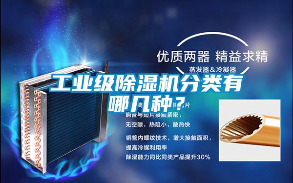 工業級除濕機分類有哪幾種？