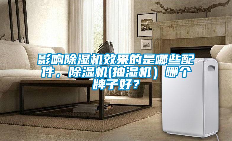 影響除濕機效果的是哪些配件，除濕機(抽濕機）哪個牌子好？