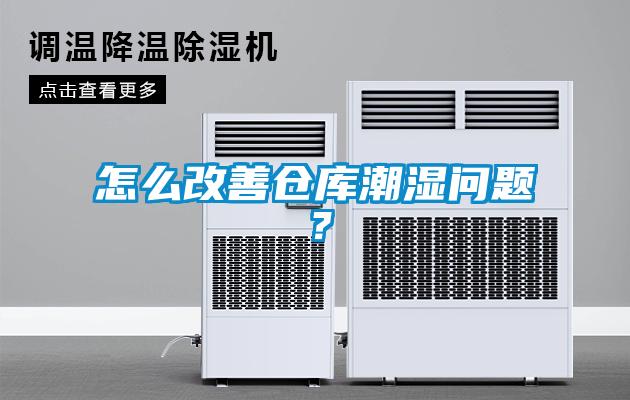怎么改善倉庫潮濕問題？