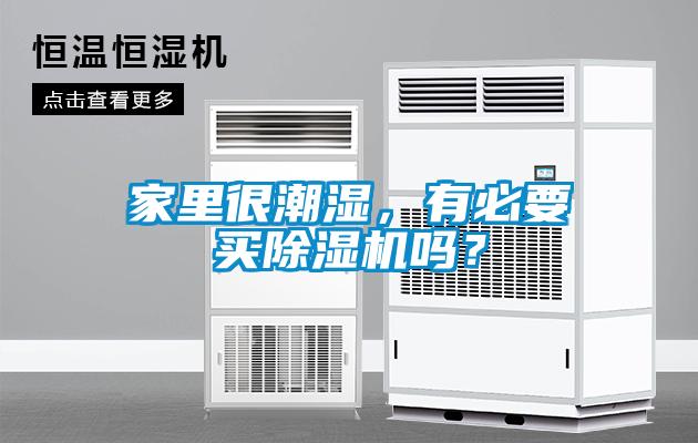 家里很潮濕，有必要買除濕機嗎？