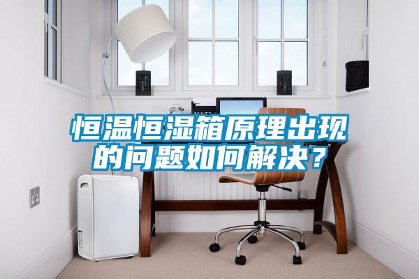 恒溫恒濕箱原理出現的問題如何解決？