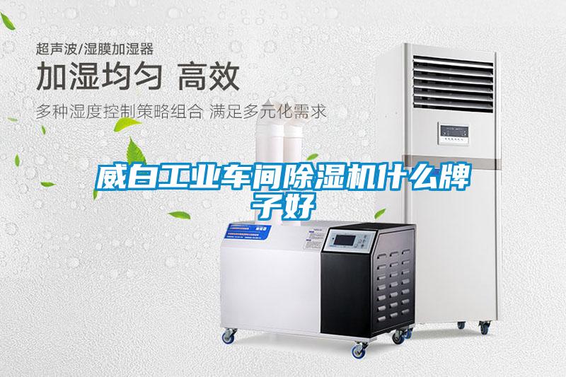 威白工業車間除濕機什么牌子好
