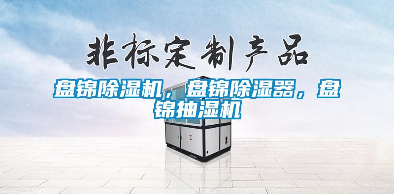 盤錦除濕機，盤錦除濕器，盤錦抽濕機