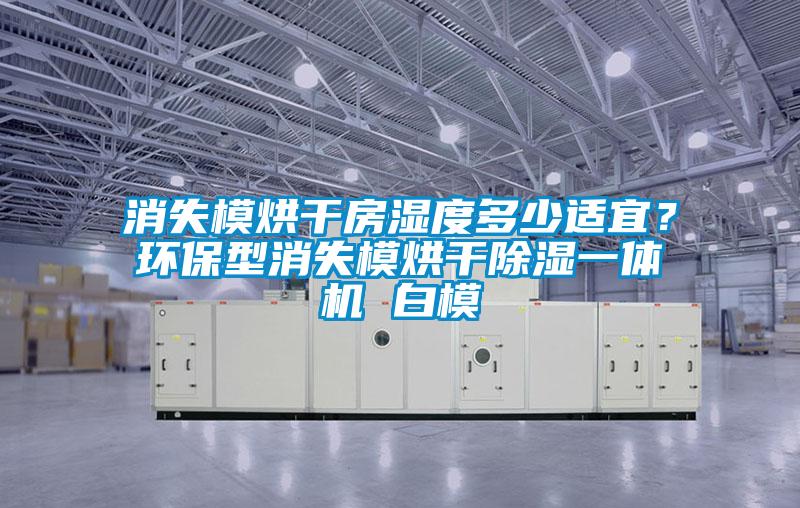 消失模烘干房濕度多少適宜？環保型消失模烘干除濕一體機 白模