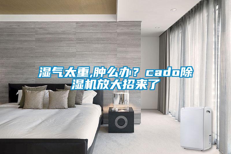 濕氣太重,腫么辦？cado除濕機放大招來了