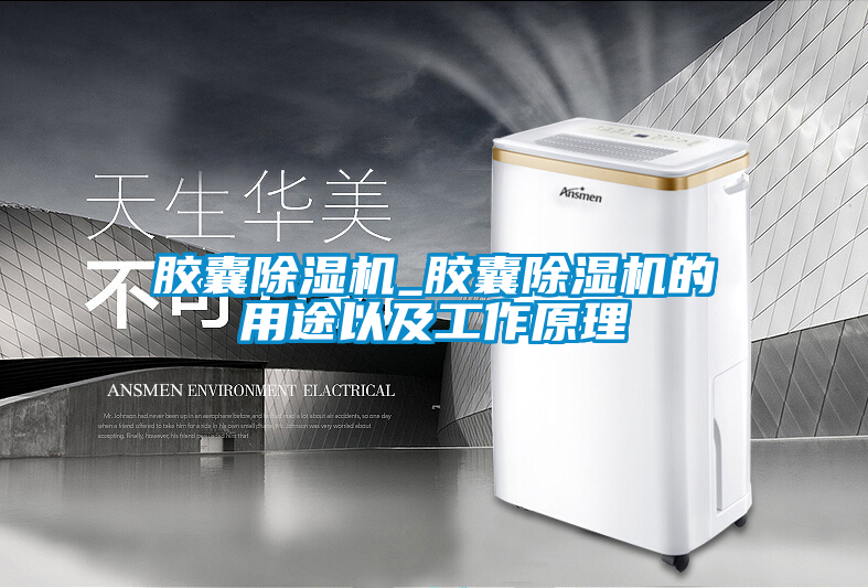 膠囊除濕機_膠囊除濕機的用途以及工作原理
