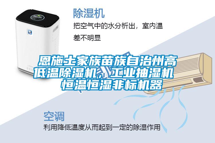 恩施土家族苗族自治州高低溫除濕機，工業抽濕機  恒溫恒濕非標機器