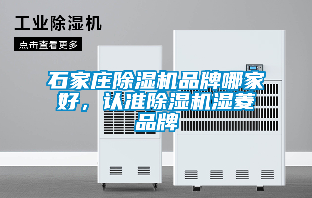 石家莊除濕機品牌哪家好，認準除濕機濕菱品牌