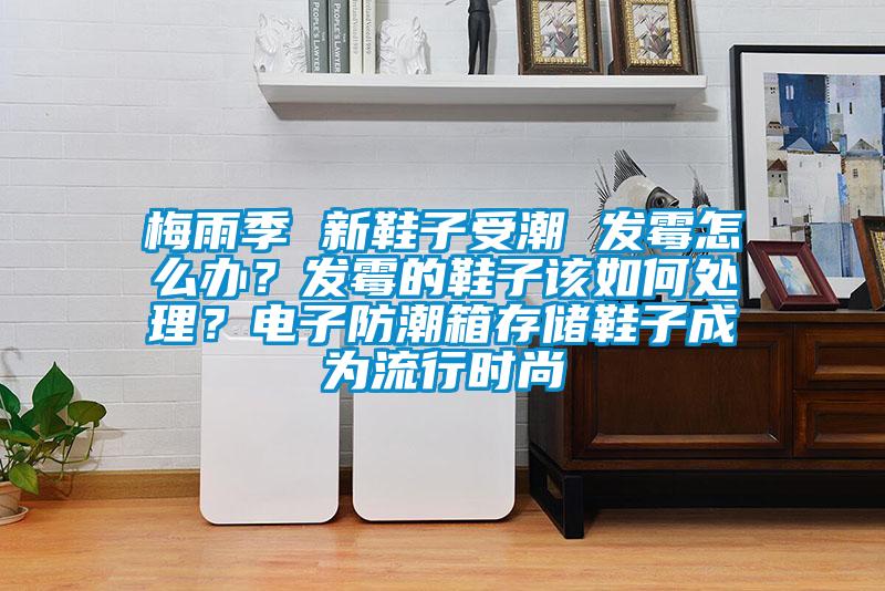 梅雨季 新鞋子受潮 發霉怎么辦？發霉的鞋子該如何處理？電子防潮箱存儲鞋子成為流行時尚