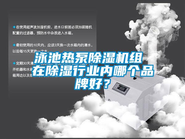 泳池熱泵除濕機組 在除濕行業內哪個品牌好？