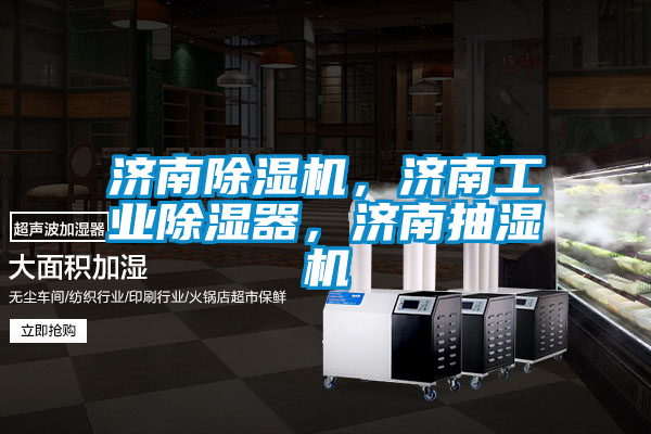 濟南除濕機，濟南工業除濕器，濟南抽濕機