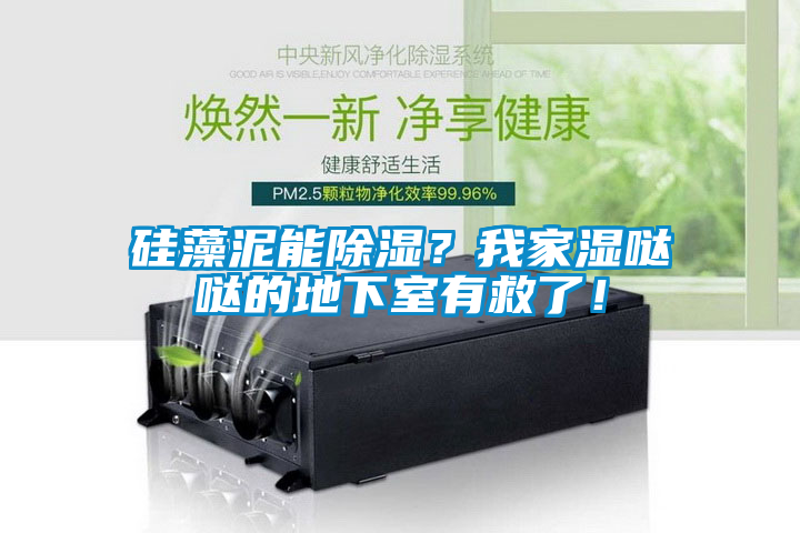 硅藻泥能除濕？我家濕噠噠的地下室有救了！