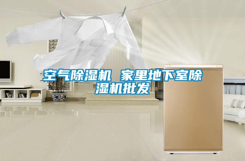 空氣除濕機 家里地下室除濕機批發