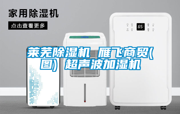 萊蕪除濕機 雁飛商貿(圖) 超聲波加濕機