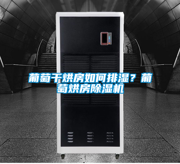 葡萄干烘房如何排濕？葡萄烘房除濕機
