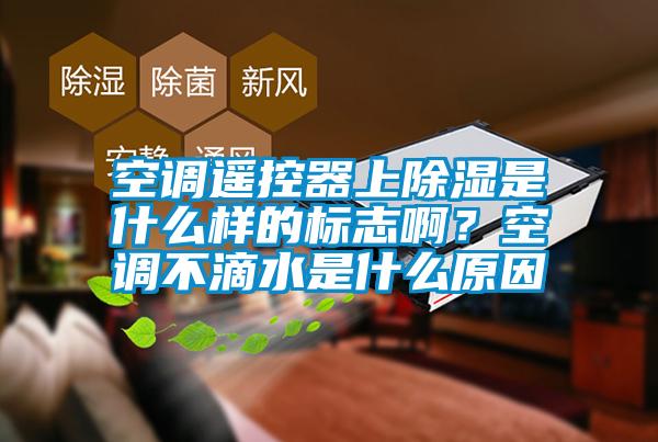 空調遙控器上除濕是什么樣的標志??？空調不滴水是什么原因