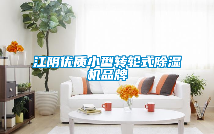 江陰優質小型轉輪式除濕機品牌