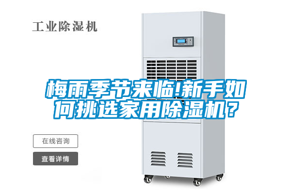 梅雨季節來臨!新手如何挑選家用除濕機？