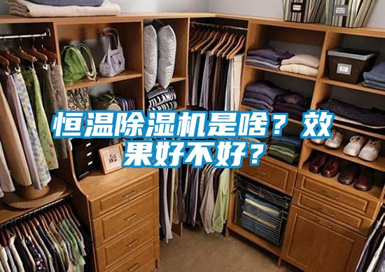 恒溫除濕機是啥？效果好不好？