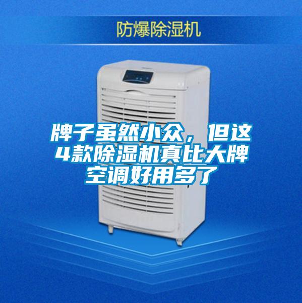 牌子雖然小眾，但這4款除濕機真比大牌空調好用多了