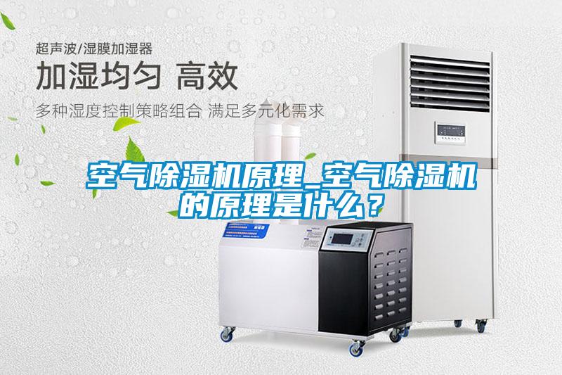 空氣除濕機原理_空氣除濕機的原理是什么？