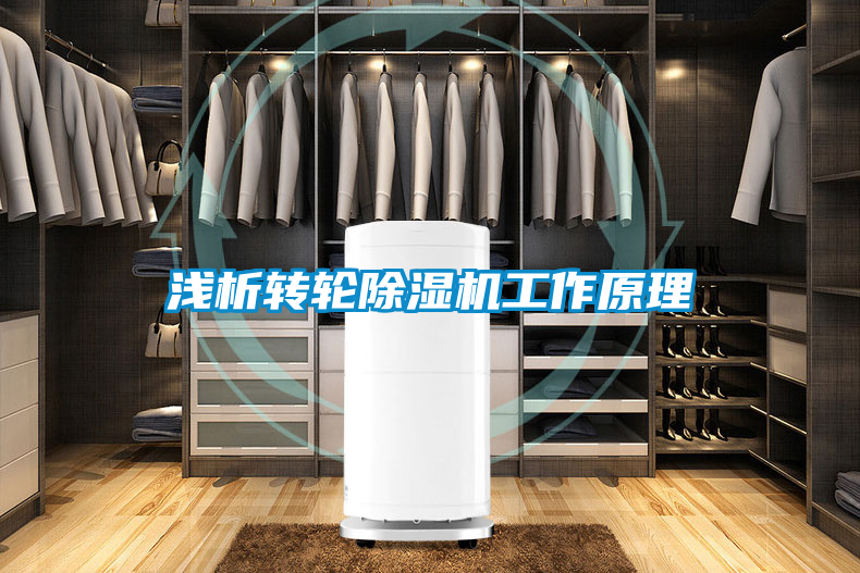淺析轉輪除濕機工作原理