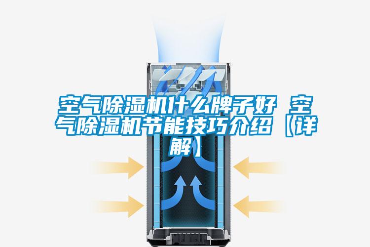 空氣除濕機什么牌子好 空氣除濕機節能技巧介紹【詳解】