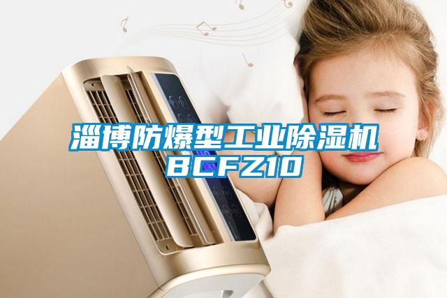 淄博防爆型工業除濕機 BCFZ10