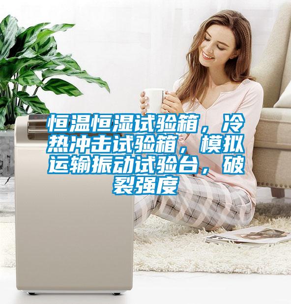 恒溫恒濕試驗箱，冷熱沖擊試驗箱，模擬運輸振動試驗臺，破裂強度