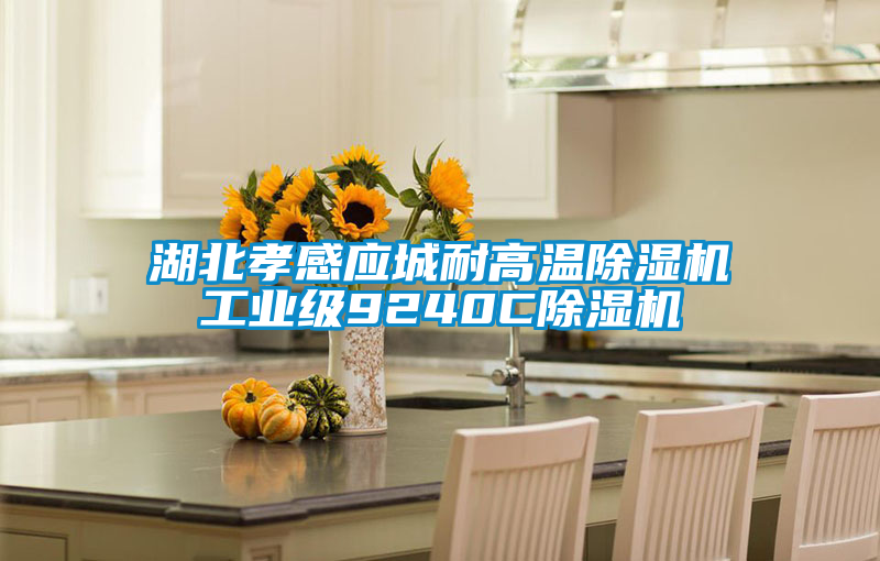 湖北孝感應城耐高溫除濕機工業級9240C除濕機