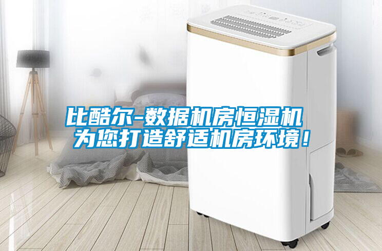 比酷爾-數據機房恒濕機 為您打造舒適機房環境！